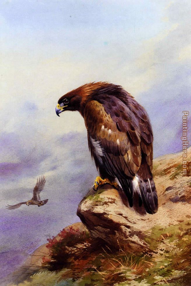 Archibald Thorburn A Golden Eagle